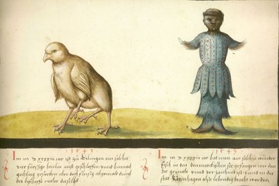 Folio 145- Miraculous Hen and Miraculous Fish 1543 by Unbekannt Unbekannt